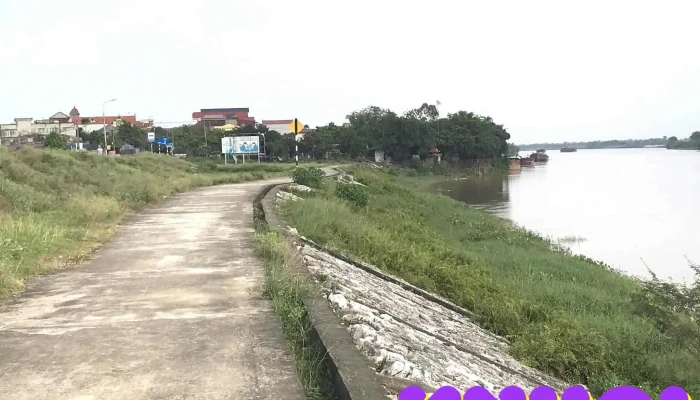 Tưởng mobile - Thuỵ Lôi