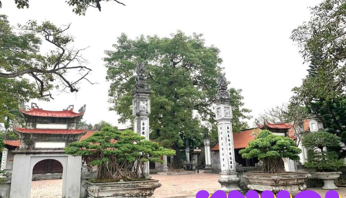 Từ Lương Xâm - Hải Phòng