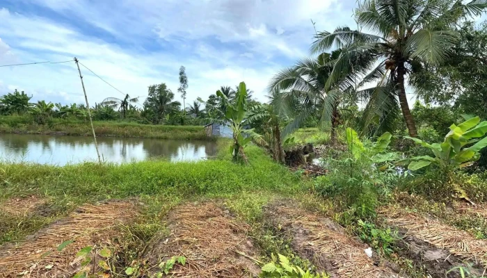 U Minh Thuong Che Do Xem Pho Va 360deg - Kiên Giang