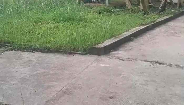 U Minh Thuong Video - Kiên Giang
