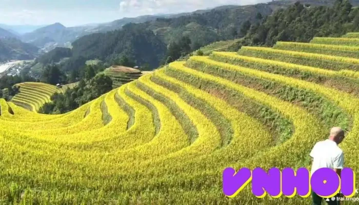 Vanh Mong Ngua Nui - Yên Bái