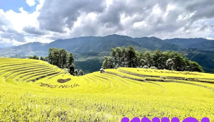 Vành móng ngựa - Yên Bái