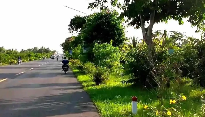 Vi Thanh Video - Hậu Giang