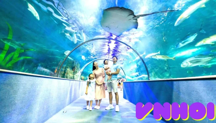 Vinke Thuy Cung Vincom Times City Cua Chu So Huu - Hà Nội