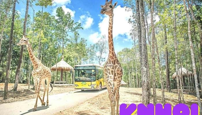 Vinpearl Safari Phú Quốc - Kiên Giang