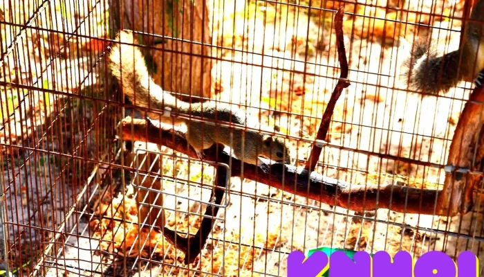 Vita Garden Mini -  Zoo Moi Nhat - Bình Thuận