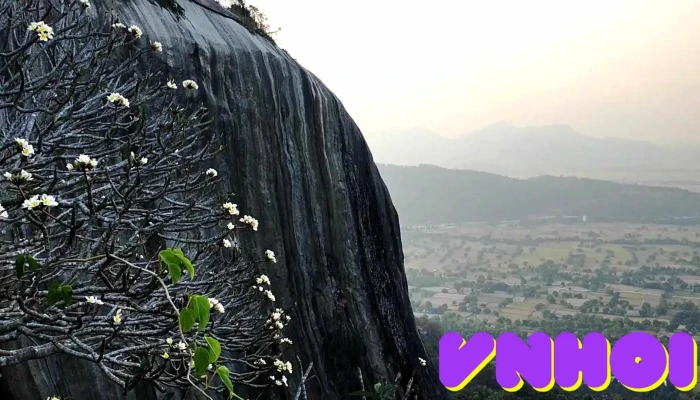 Vo Hoi Nho Video - An Giang