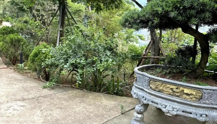 Vuon Cam Sach Cao Phong Tat Ca - Hòa Bình