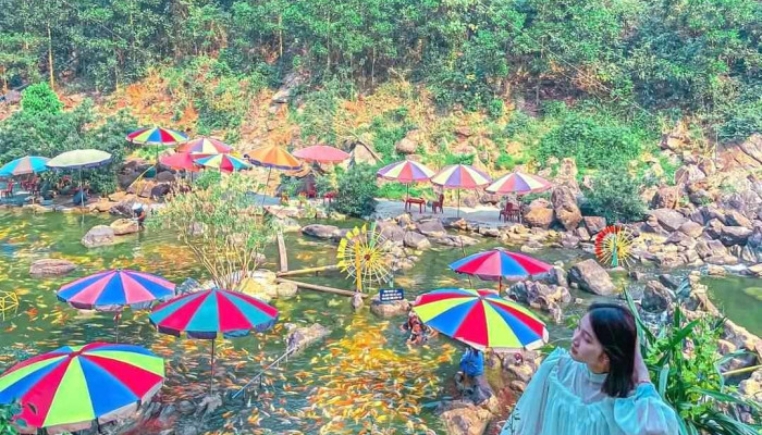 Vuon Doi Ca Vang Khe To Tat Ca - Nghệ An