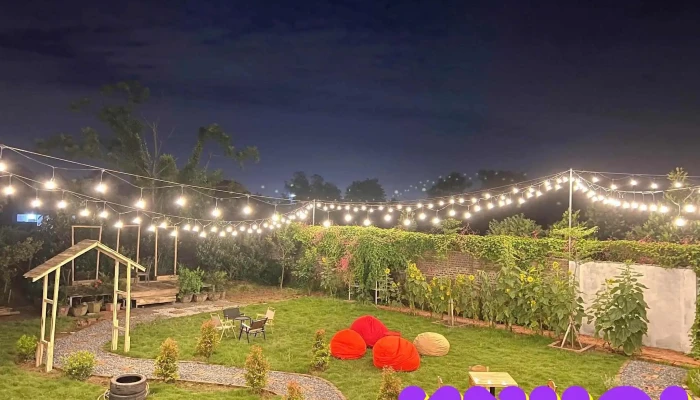 Vuon Hoa Kim Chi Studio Cua Chu So Huu - Hưng Yên