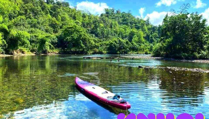 Vuon Hoa La Ngau   Nature Lodge Cua Chu So Huu - Bình Thuận