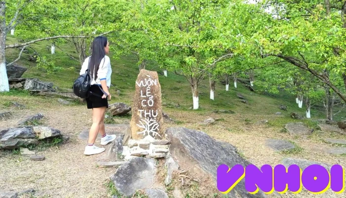 Vuon Hoa Le Hong Thai Video - Tuyên Quang
