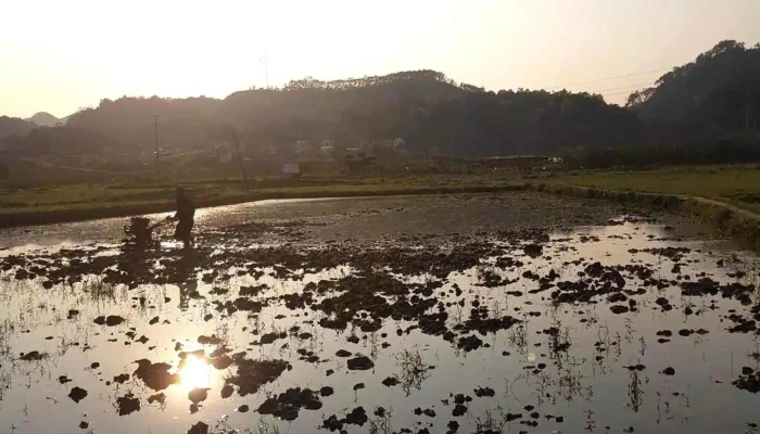 Vuon Hoa To Thi Video - Lạng Sơn