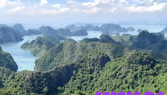 Vuon Quoc Gia Cat Ba Tat Ca - Hải Phòng