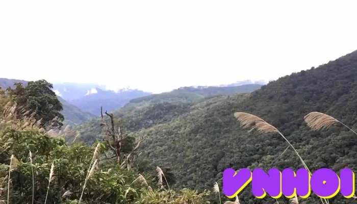 Vuon Quoc Gia Phia Oac   Phia Den Nui - Cao Bằng