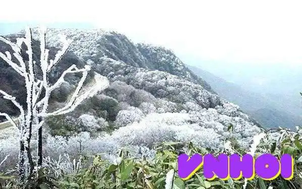 Vuon Quoc Gia Phia Oac   Phia Den Tat Ca - Cao Bằng
