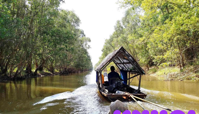 Vuon Quoc Gia Tram Chim Tram Chim - Đồng Tháp