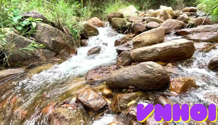 Vuon Rung Sinh Thai Suoi Xanh Video - Quảng Nam