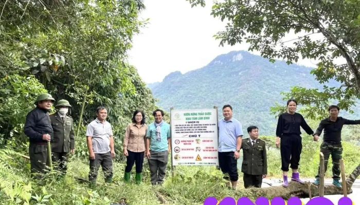 Vuon Rung Thao Duoc Khai Tam Lam Binh Cua Chu So Huu - Tuyên Quang