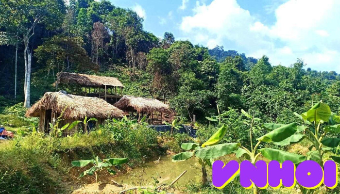 Vuon Rung Thao Duoc Khai Tam Lam Binh Tat Ca - Tuyên Quang
