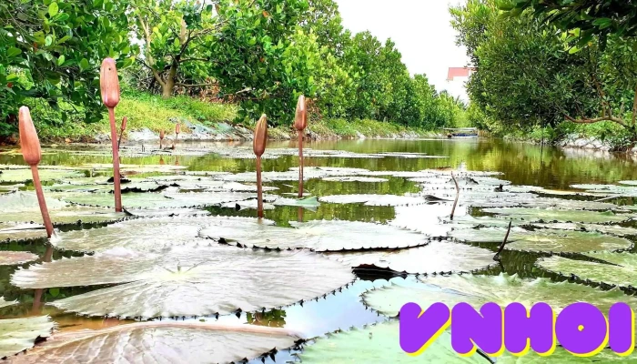 Vuon Sinh Thai Hong Son Ao - An Giang
