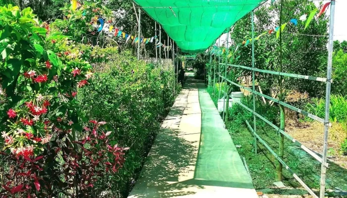 Vuon Sinh Thai Hong Son Vuon - An Giang