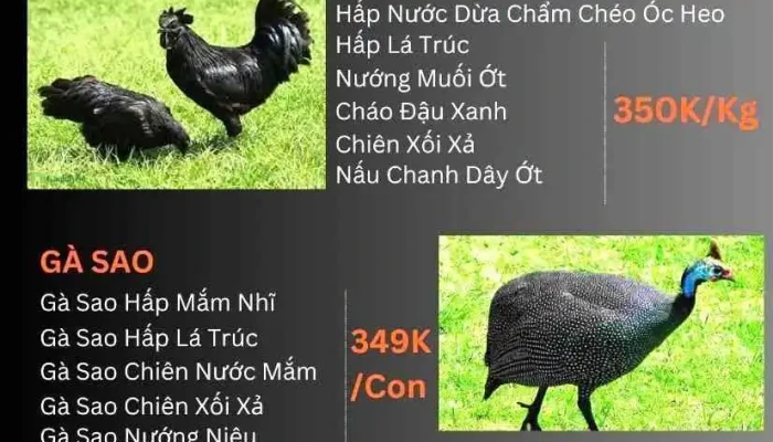 Vuon Sinh Thai Minh Man Cua Chu So Huu - An Giang