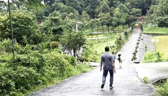 Vuon Suu Tap Dong Thuc Vat Vqg Bgm Video - Bình Phước