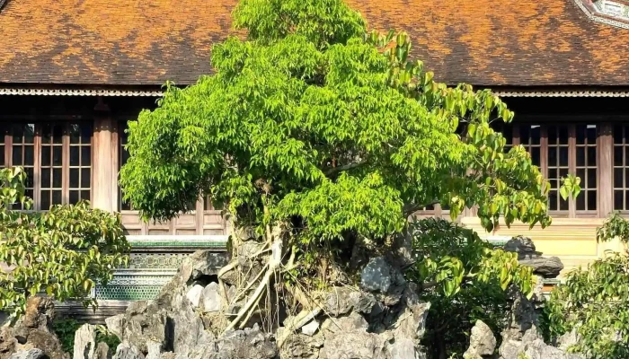 Vuon Thieu Phuong Thai Binh Lau - Thành Phố Huế