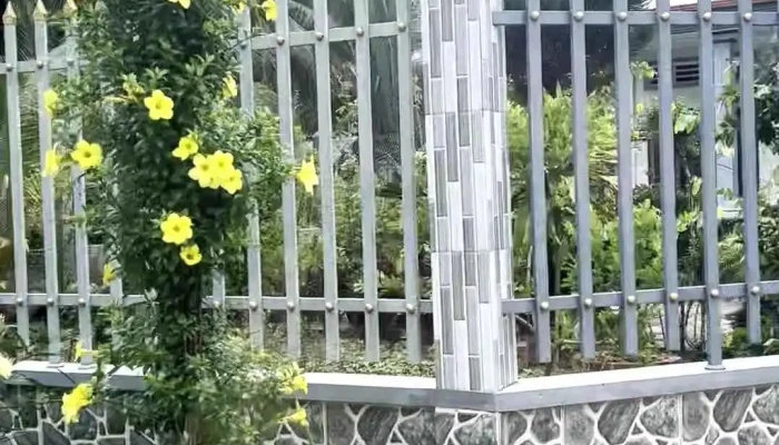 Vuon Trai Cay Hieu Video - Bến Tre