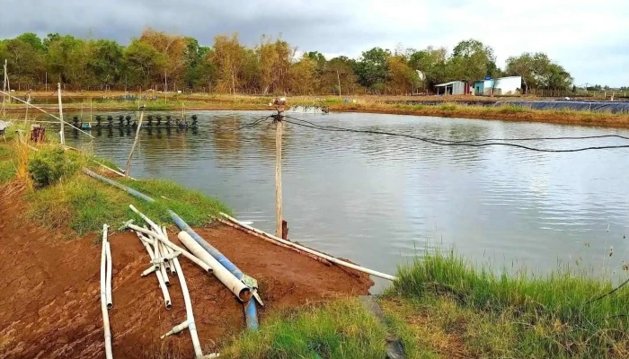 Vườn chim Bạc Liêu - Bạc Liêu