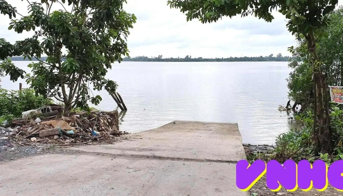 Vườn chôm chôm Hai Hoàng - Kế Sách