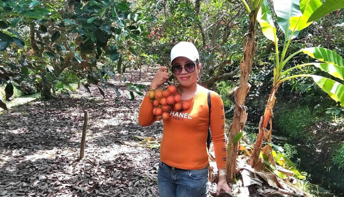 Vườn Chôm Chôm Hai Thận - Phong Nẫm