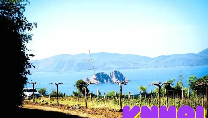 Vườn nho Hai Triều - Đồi Cổ Thạch Phú Yên - An Ninh Đông