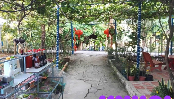 Vườn nho Hồng Dân - Hồng Dân