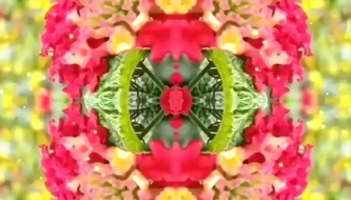 Yen Phong Video - Bắc Ninh