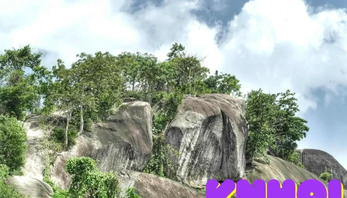 Đá Hang Dơi - Gia Canh