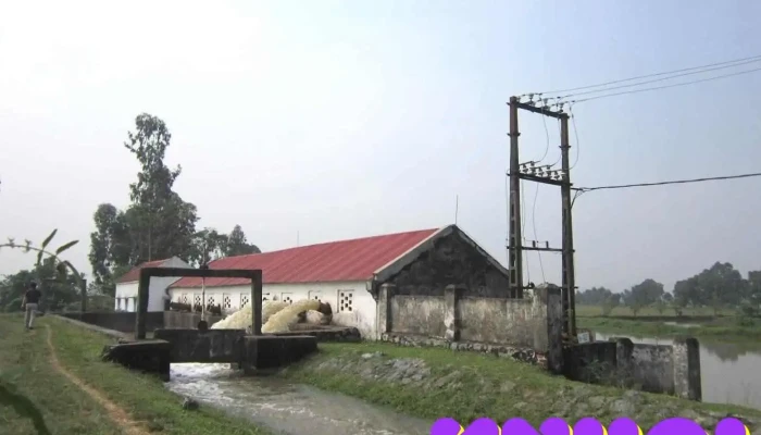 Đàm Khánh - Ninh Bình
