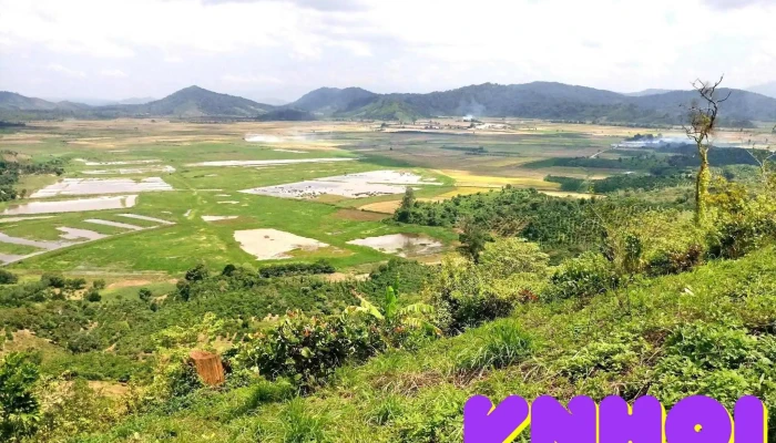 Điểm ngắm cánh đồng lúa ven núi lửa - Đt684