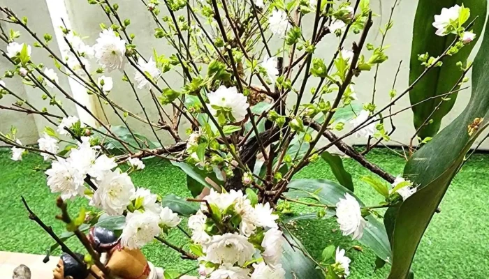 Điểm Tham Quan Du Lịch - Thuỵ Khuê