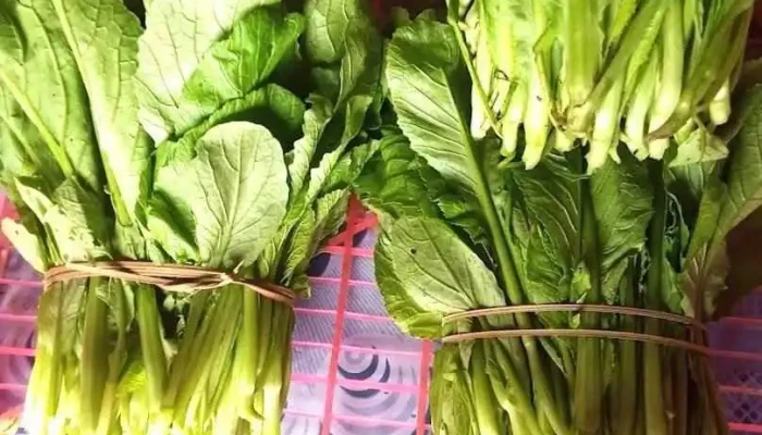 Đình lập - Lạng Sơn