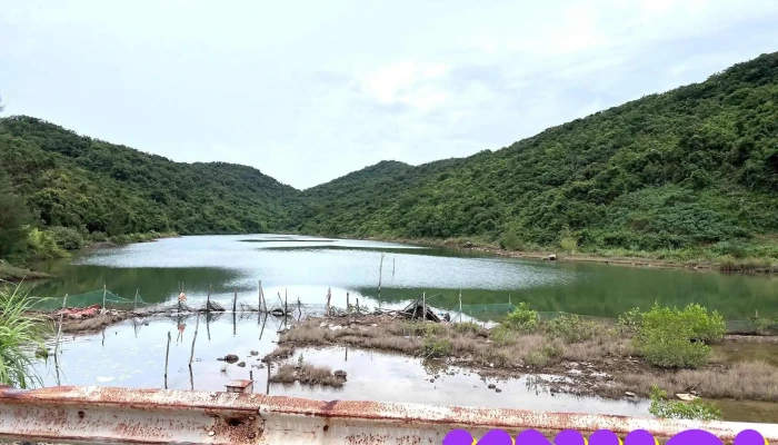 Đảo Cái Chiên - Unnamed Road