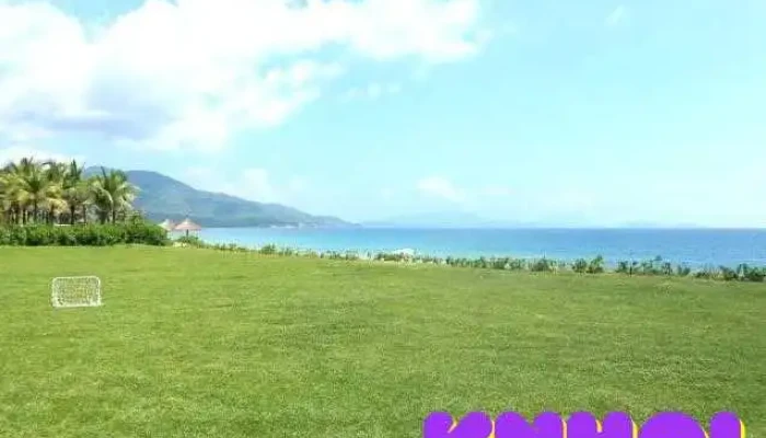 Đảo Đá Dựng - Đầm Hà