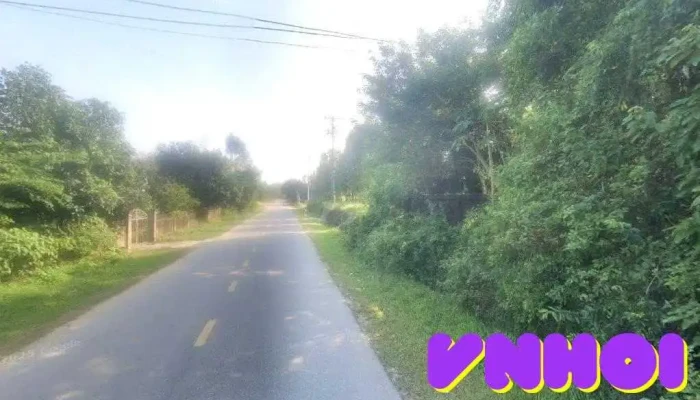 Đền Đinh Lễ - Đt70