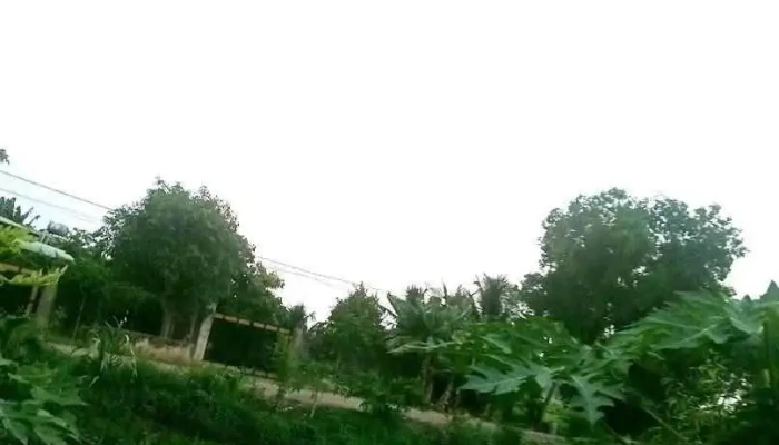 Địa Chỉ - Bình Dương