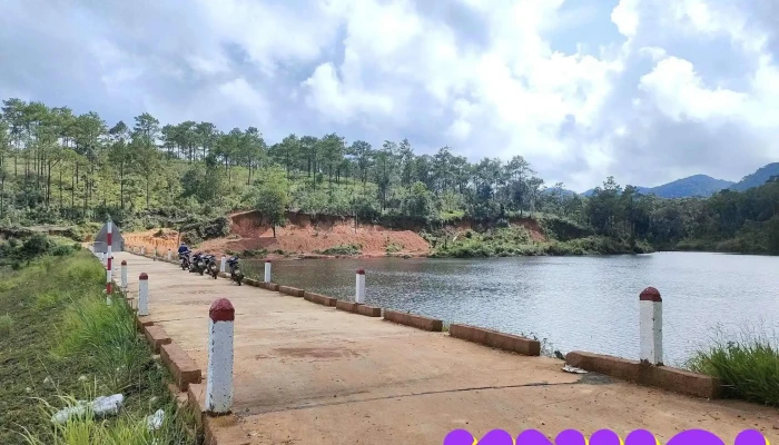 Đồi cù Bảo Lâm - Bảo Lâm