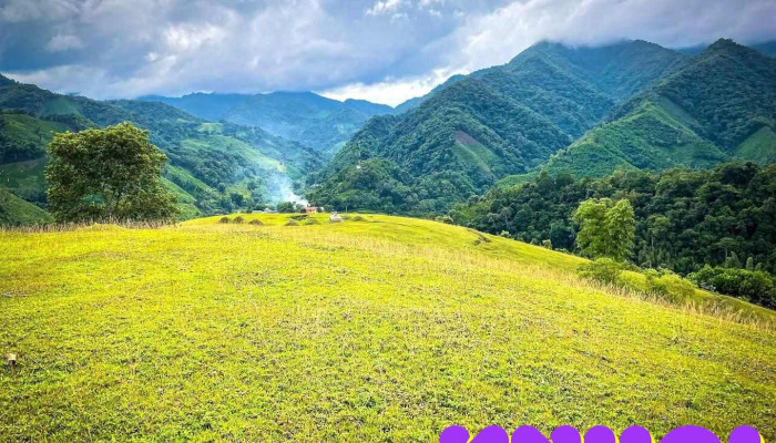 Đồi cỏ Pò Lóm - Cao Bằng