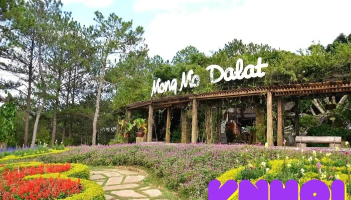 Đồi Mộng Mơ Đà Lạt - Lâm Đồng