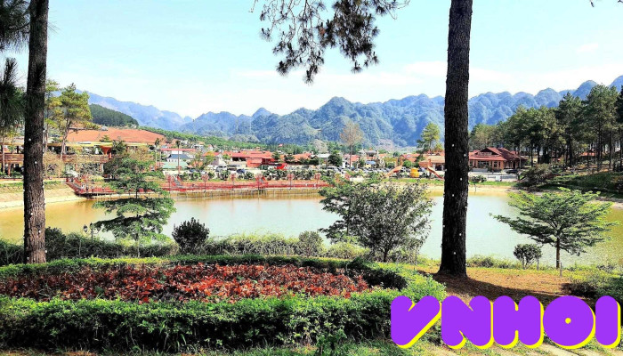 Đồi thông Bản Áng - Đông Sang