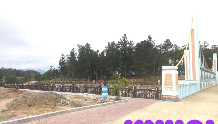Đồi Thông sông hinh - Ea Bia
